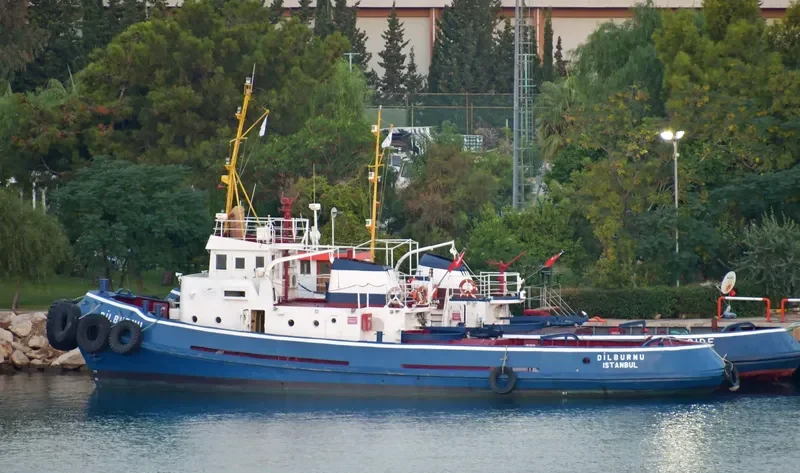 DILBURNU General Cargo IMO 7704227 photo 2