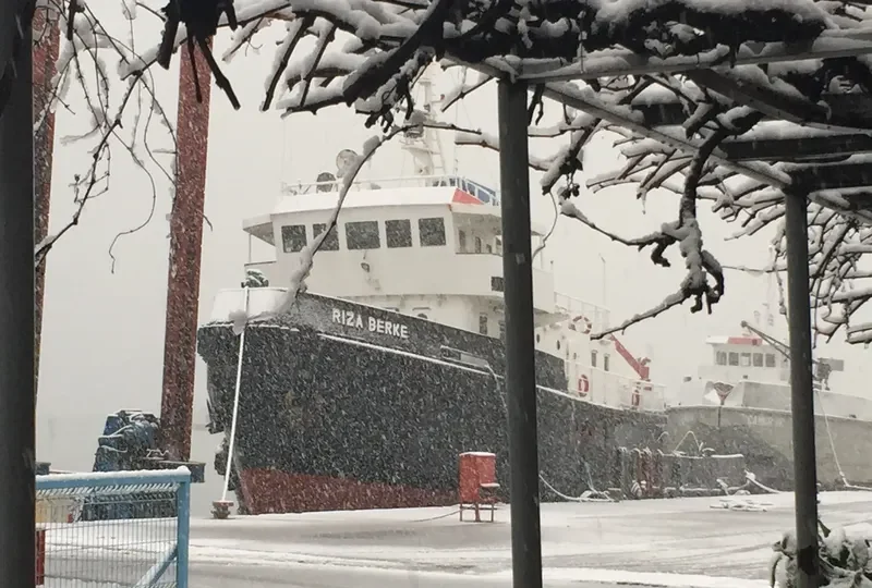RIZA BERKE General Cargo IMO 7704253