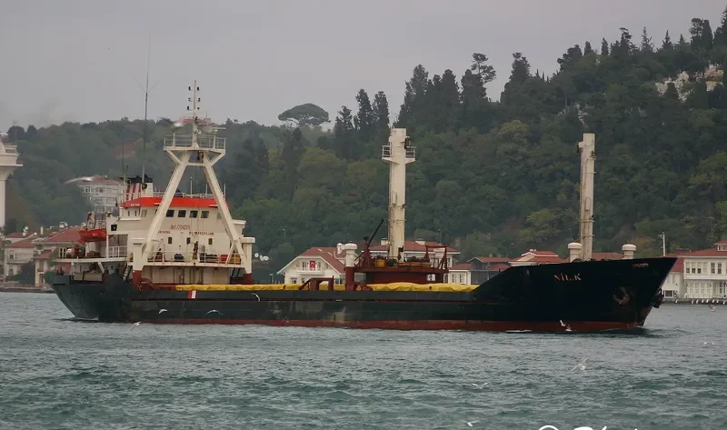 MERCY GOD General Cargo IMO 7704289 photo 2