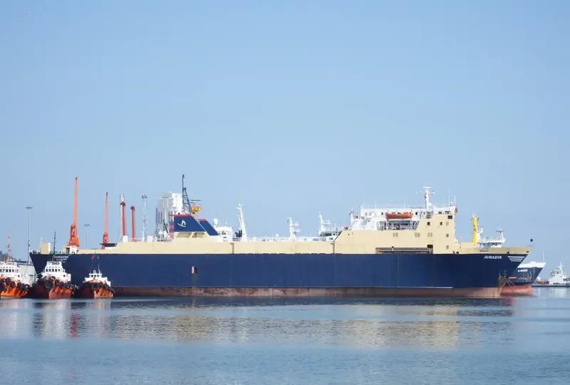 AVRASYA Ro-Ro IMO 7704617 photo 10