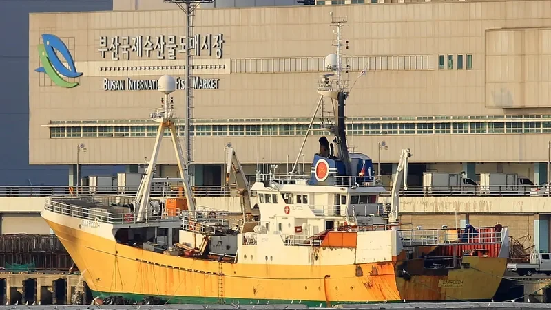 OLAFSSON General Cargo IMO 7704708 photo 2