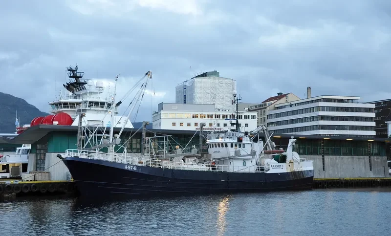 LONNOY JUNIOR General Cargo IMO 7704916 photo 6