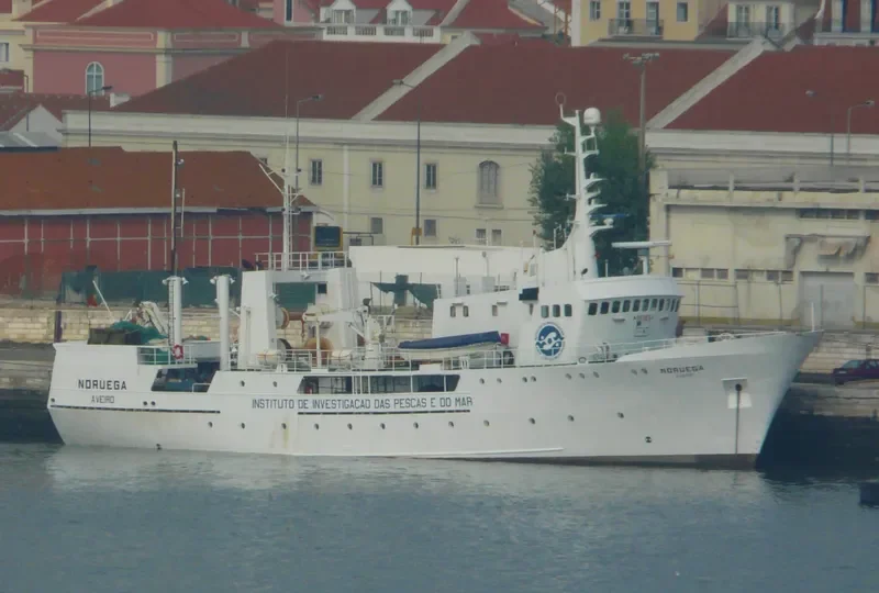 NORUEGA General Cargo IMO 7704992 photo 5