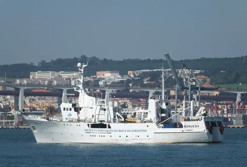 NORUEGA General Cargo IMO 7704992 photo 8