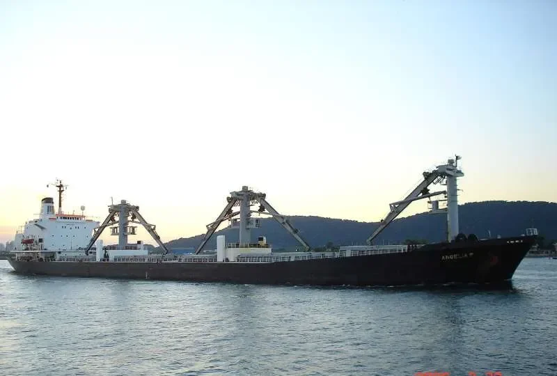 ANGELIA Bulk Carrier IMO 7705582 photo 2