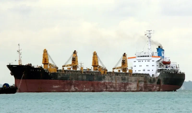 BEENA Bulk Carrier IMO 7705635 photo 2