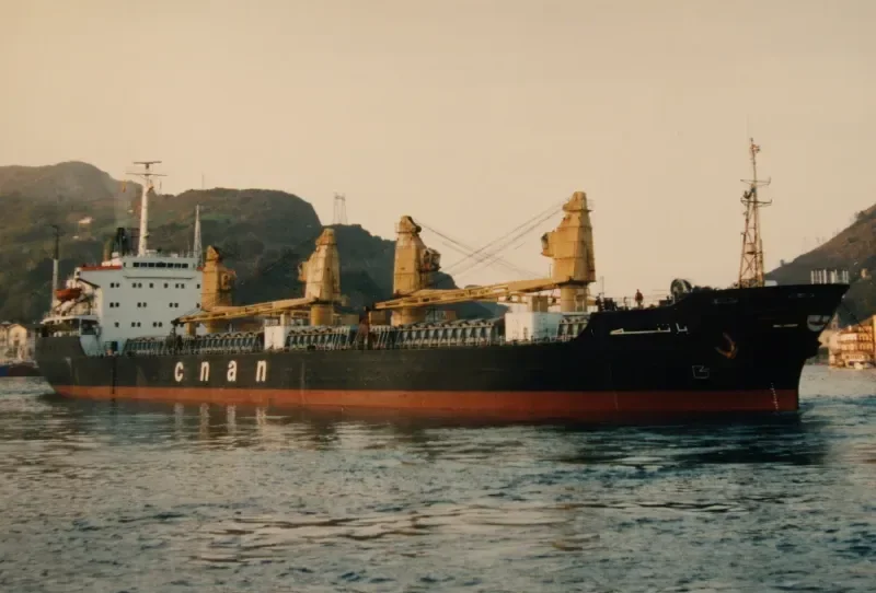 BATNA Bulk Carrier IMO 7705647
