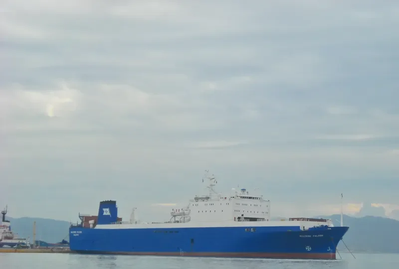 MALTESE FALCON Ro-Ro IMO 7705714 photo 3