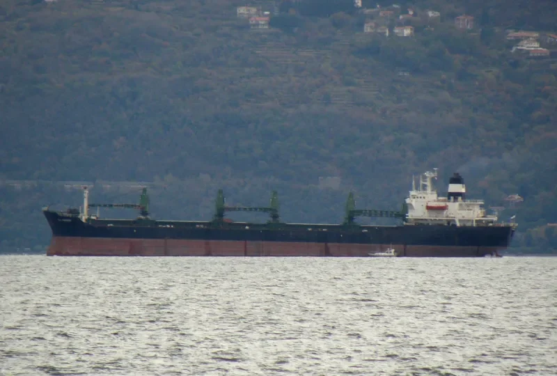 PRINCESS YASMINE Bulk Carrier IMO 7706328 photo 3