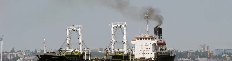 E.DIGNITY General Cargo IMO 7706562 photo 2