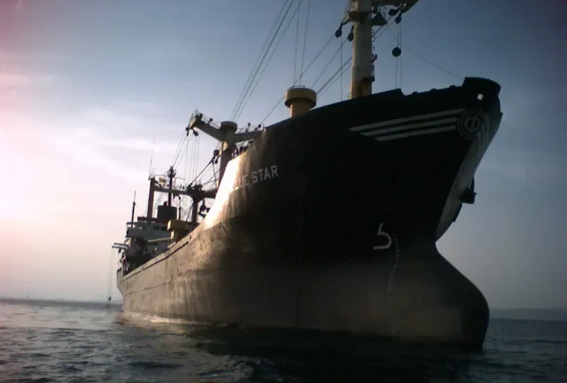 BLUE S General Cargo IMO 7706770 photo 2