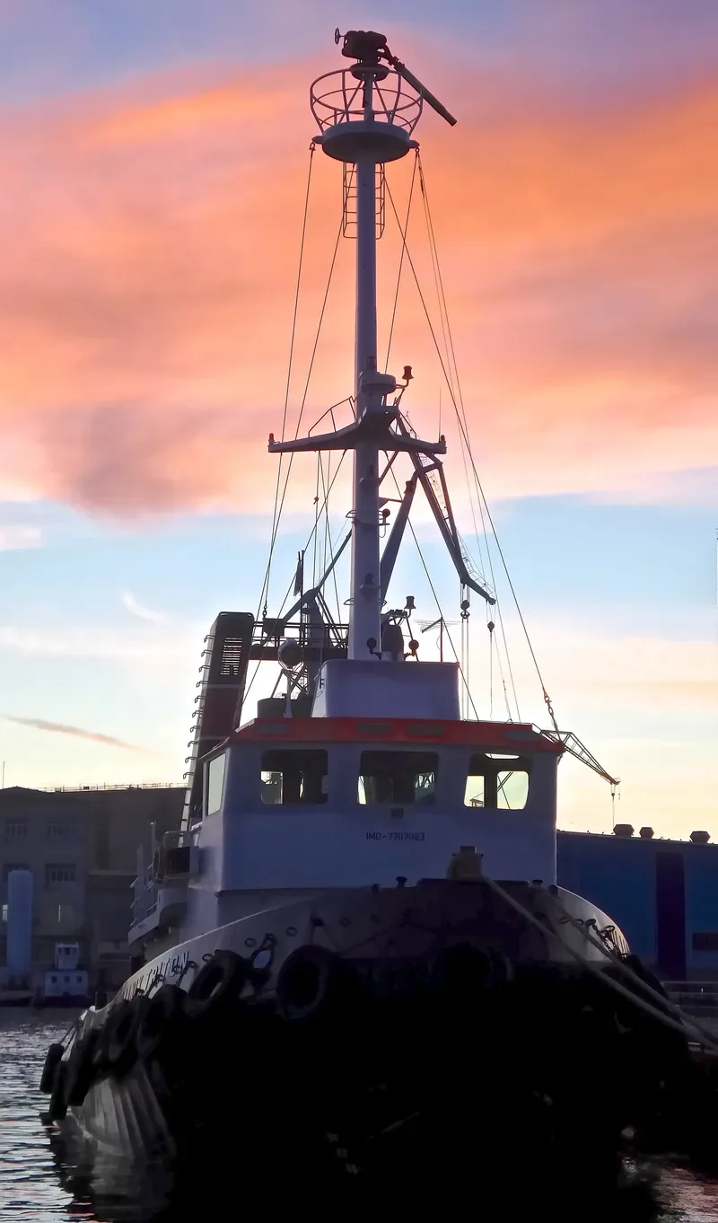 ULJANIK TRITON General Cargo IMO 7707023 photo 6