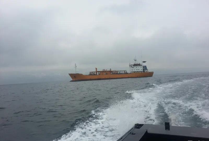 QUEEN General Cargo IMO 7707724 photo 3