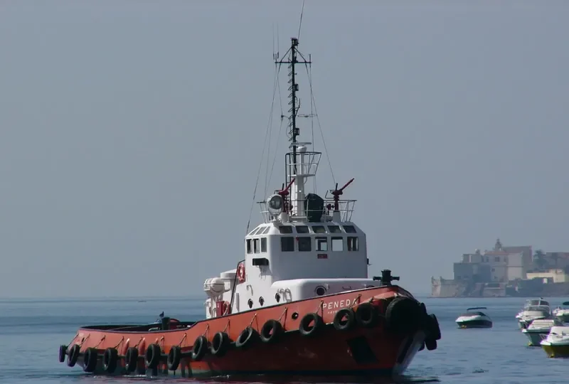 PENEDA General Cargo IMO 7707815 photo 7