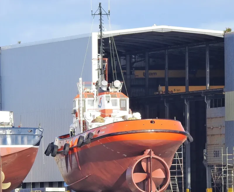 PENEDA General Cargo IMO 7707815 photo 10