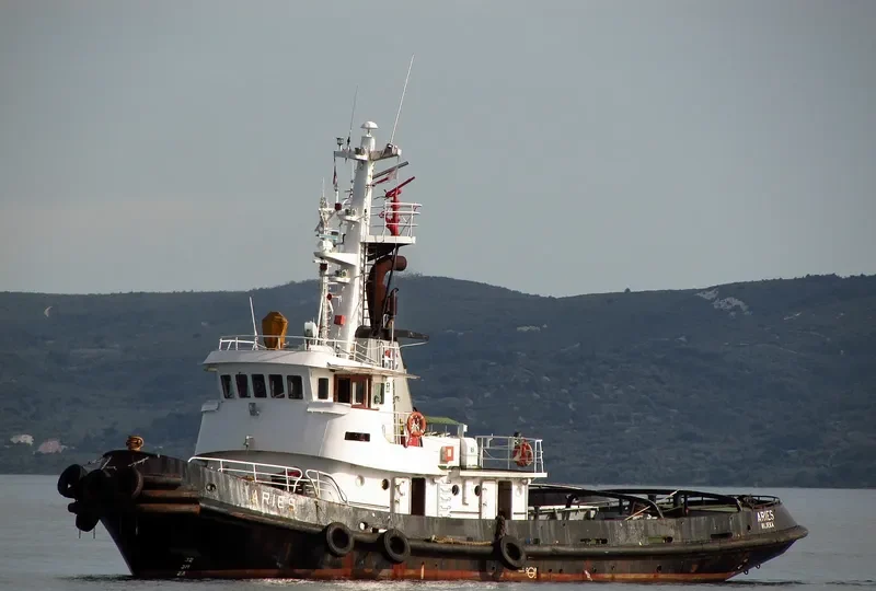 ARIES Offshore Supply Vessel IMO 7708170 photo 5