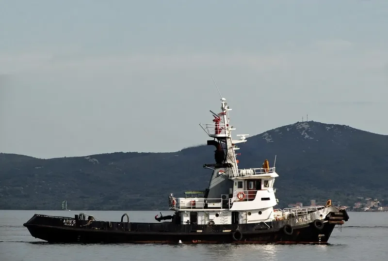 ARIES Offshore Supply Vessel IMO 7708170 photo 6