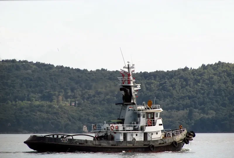 ARIES Offshore Supply Vessel IMO 7708170 photo 9