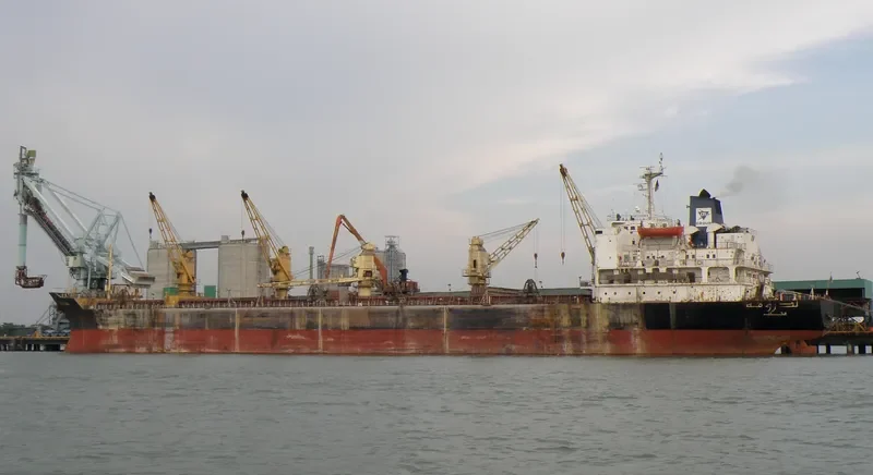 NEDROMA Bulk Carrier IMO 7708182 photo 2