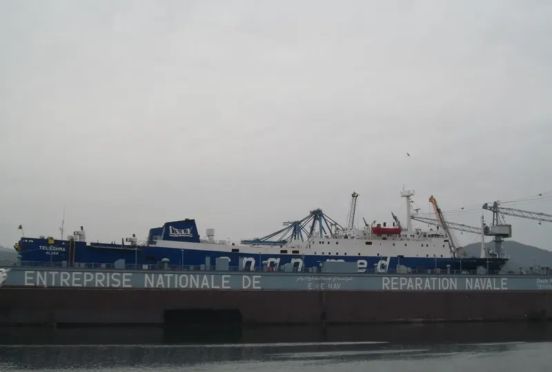 TELEGHMA Ro-Ro IMO 7708297 photo 4