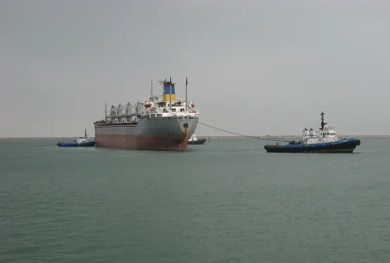 SANTA CATARINA Bulk Carrier IMO 7708716 photo 2