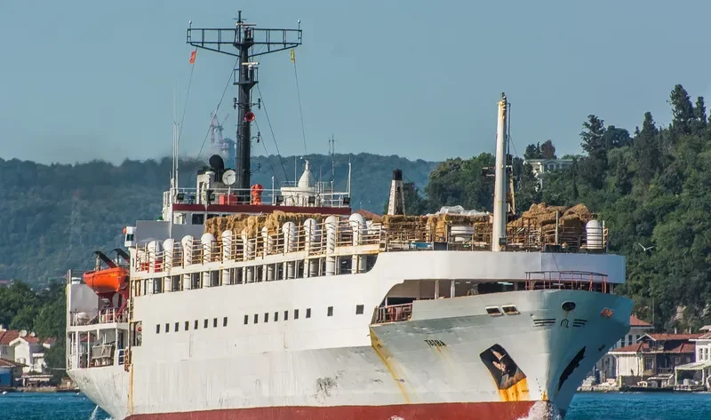 TAIBA General Cargo IMO 7708807 photo 4