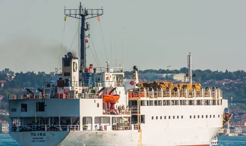 TAIBA General Cargo IMO 7708807 photo 6