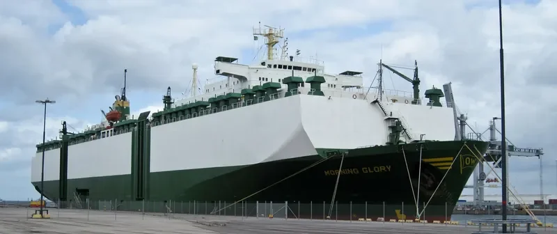 MORNING GLORY General Cargo IMO 7708821 photo 5