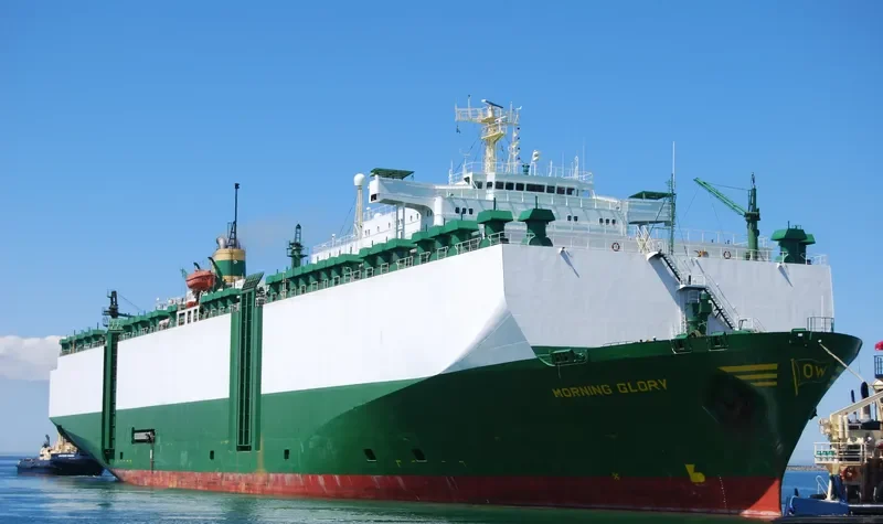 MORNING GLORY General Cargo IMO 7708821 photo 6