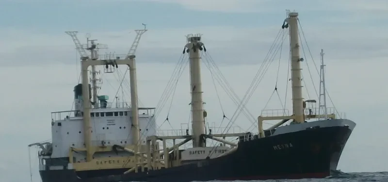 MEINA General Cargo IMO 7709239