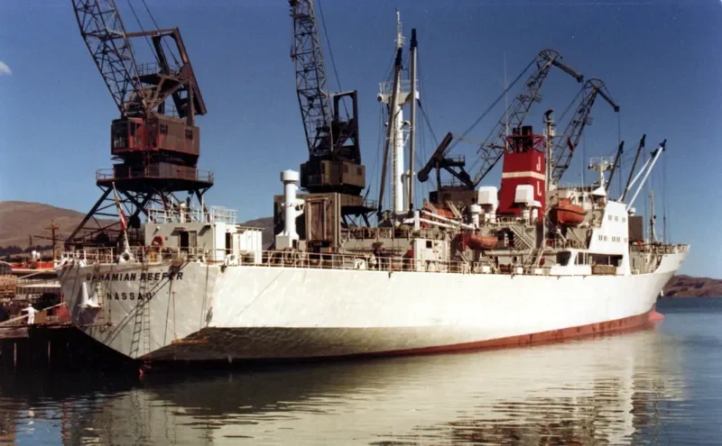 TBREED III General Cargo IMO 7710317