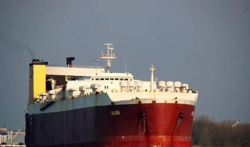 VIR General Cargo IMO 7710408 photo 6