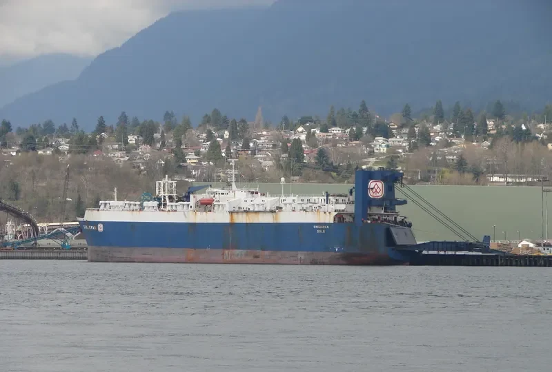 SKAUGRAN General Cargo IMO 7710410 photo 3