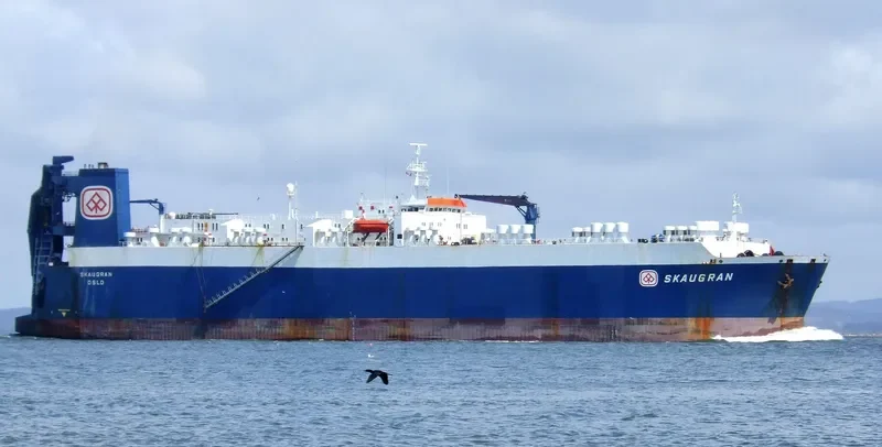 SKAUGRAN General Cargo IMO 7710410 photo 8