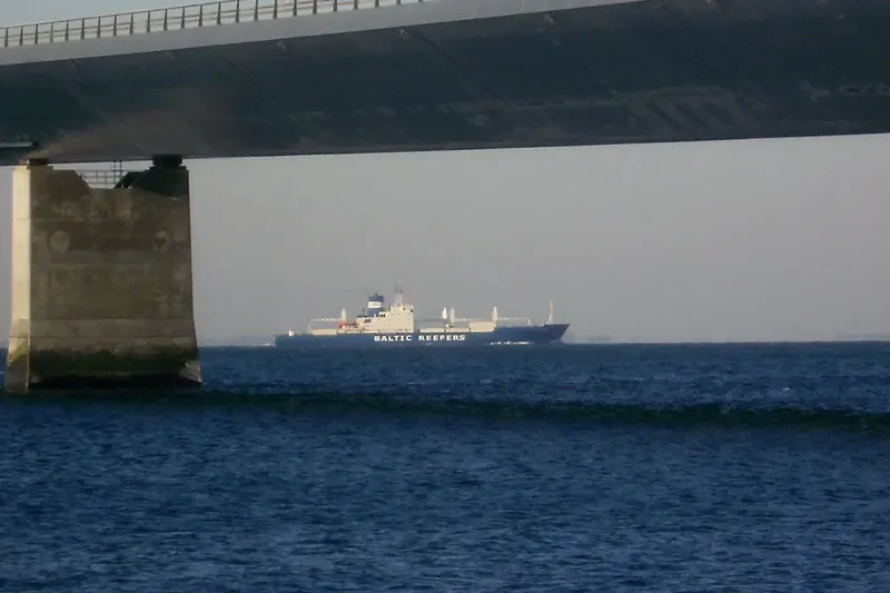 BALTIC MELODY General Cargo IMO 7710915 photo 4