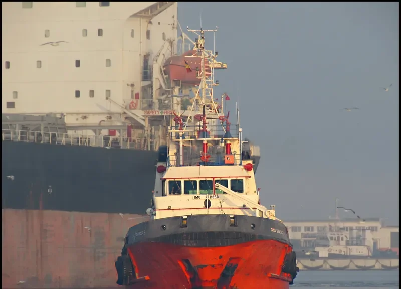 CANAL SERVICES 15 General Cargo IMO 7711050 photo 10