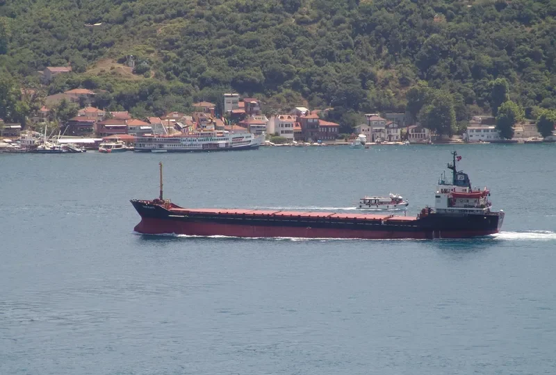 SUN RAYS Container Ship IMO 7711658