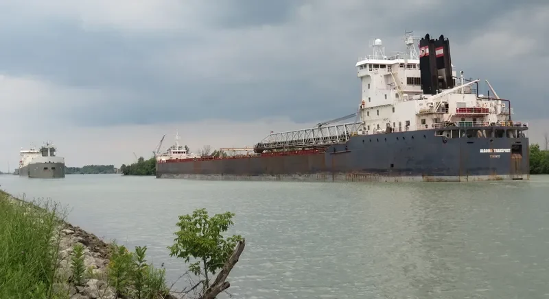 ALGOMA TRANSPORT Bulk Carrier IMO 7711737 photo 3