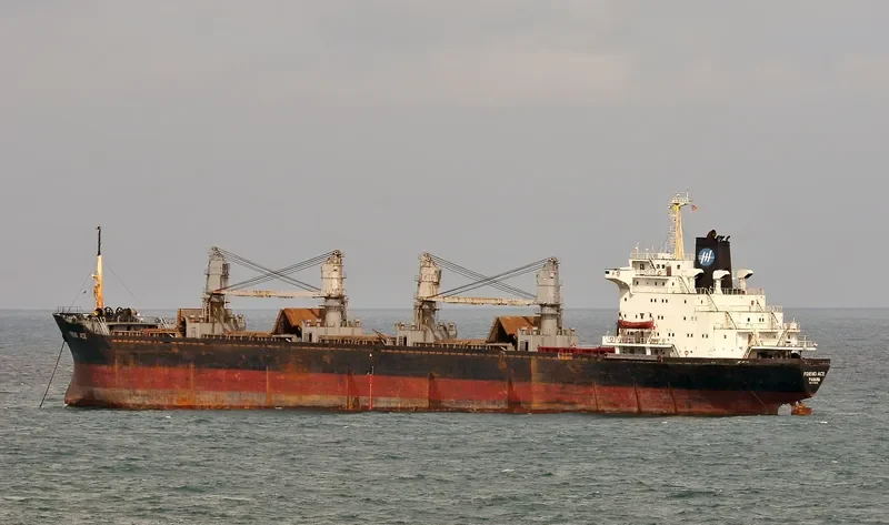 FRIEND ACE Bulk Carrier IMO 7712676 photo 2