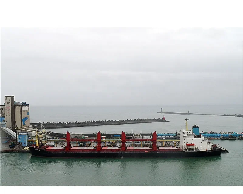 TANGO Bulk Carrier IMO 7712688