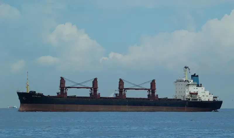 TANGO Bulk Carrier IMO 7712688 photo 7