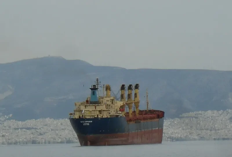 NATS EMPEROR Bulk Carrier IMO 7713125 photo 7