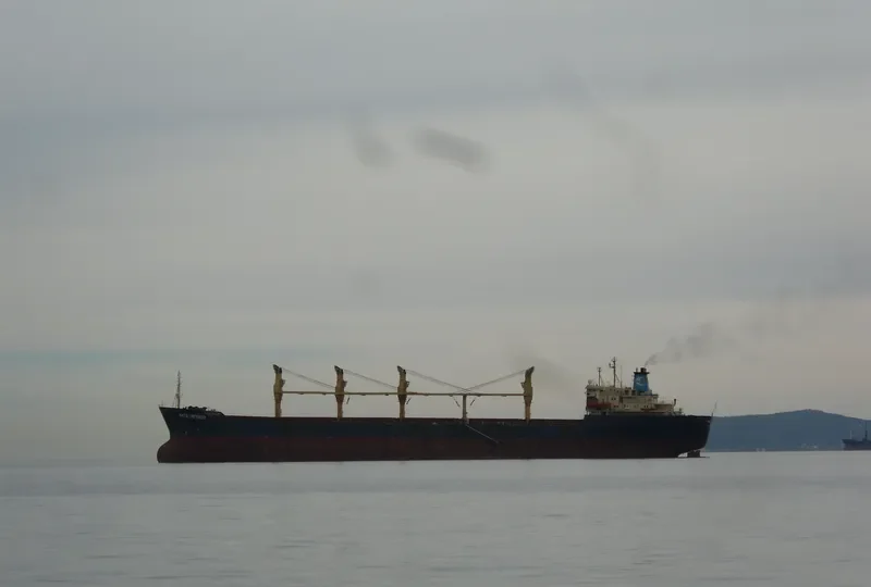 NATS EMPEROR Bulk Carrier IMO 7713125 photo 9