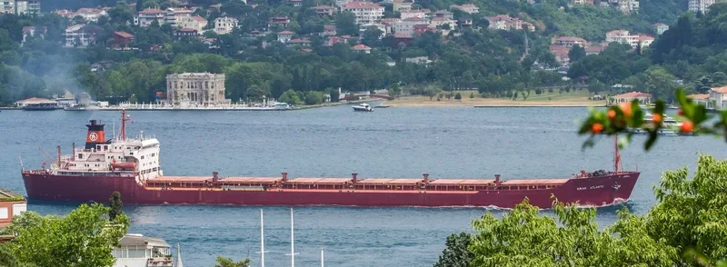 KIRAN ATLANTIC Bulk Carrier IMO 7713137 photo 3