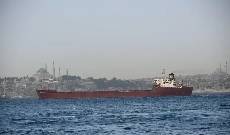 KIRAN PACIFIC Bulk Carrier IMO 7713149 photo 3
