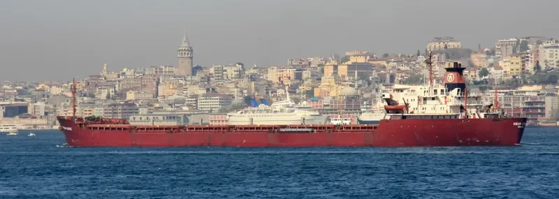 KIRAN PACIFIC Bulk Carrier IMO 7713149 photo 4