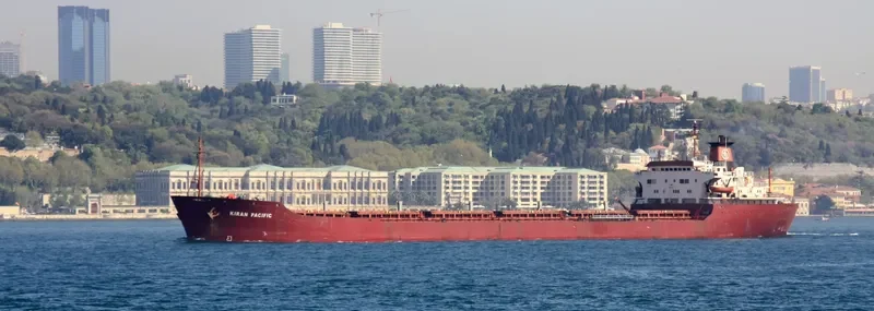 KIRAN PACIFIC Bulk Carrier IMO 7713149 photo 5