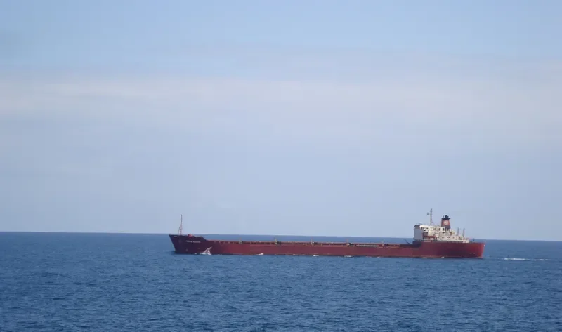 KIRAN PACIFIC Bulk Carrier IMO 7713149 photo 8