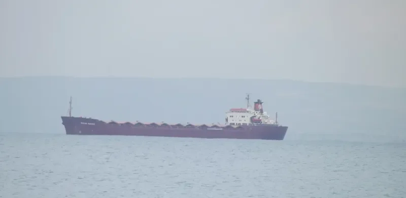 KIRAN PACIFIC Bulk Carrier IMO 7713149 photo 10