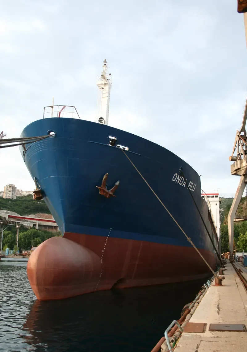 LIDER NOVO Ro-Ro IMO 7713371 photo 7